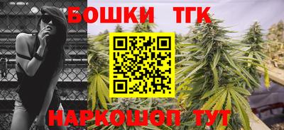 индика Кулебаки