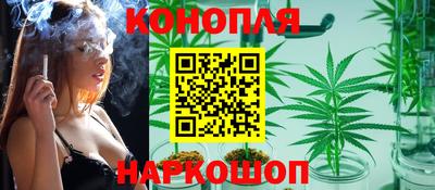 индика Кулебаки