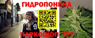 индика Кулебаки