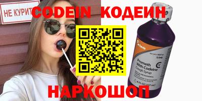 индика Кулебаки