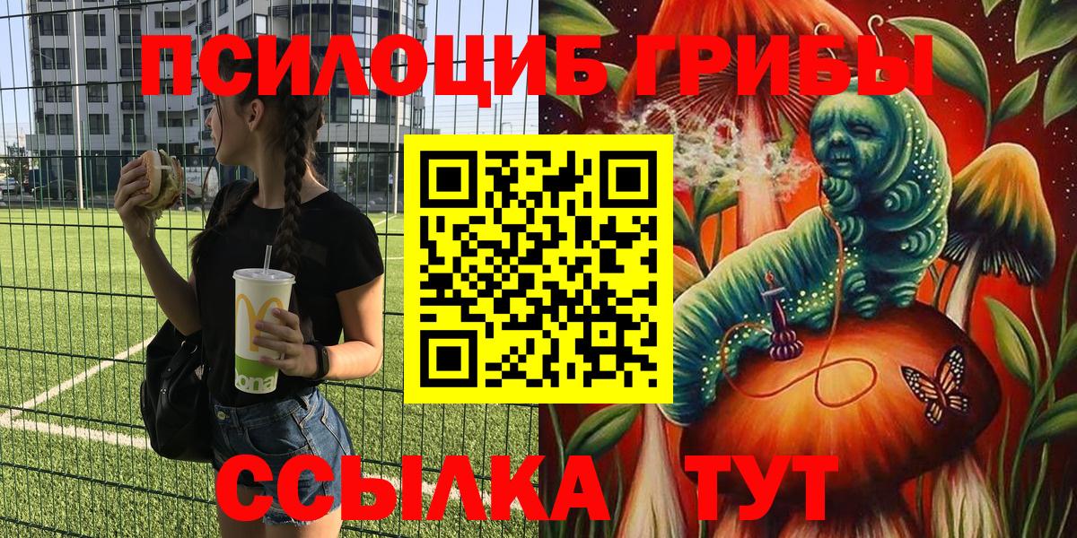 Кимры  Галлюциногенные грибы Magic Shrooms  Вход с VPN  Псилоцибиновые грибы Psilocybine cubensis 